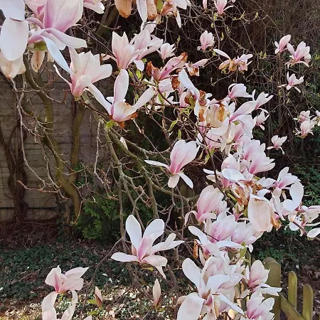 Apartment Eg-zimmer Mit Bad Und Terrasse