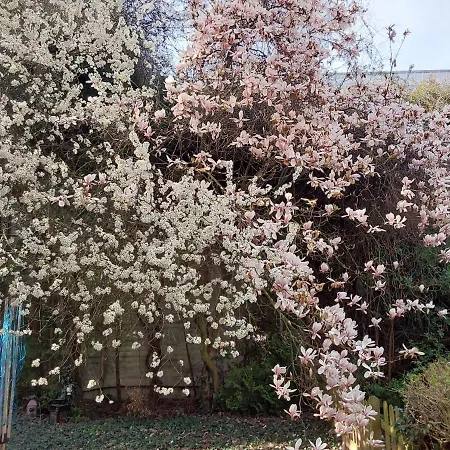 Eg-zimmer Mit Bad Und Terrasse * Kassel