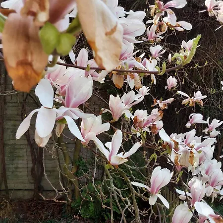 Apartment Eg-zimmer Mit Bad Und Terrasse