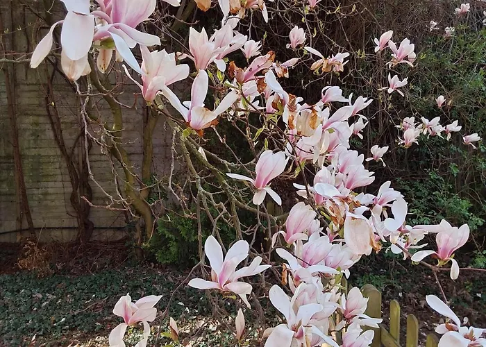 Lägenhet Eg-zimmer Mit Bad Und Terrasse
