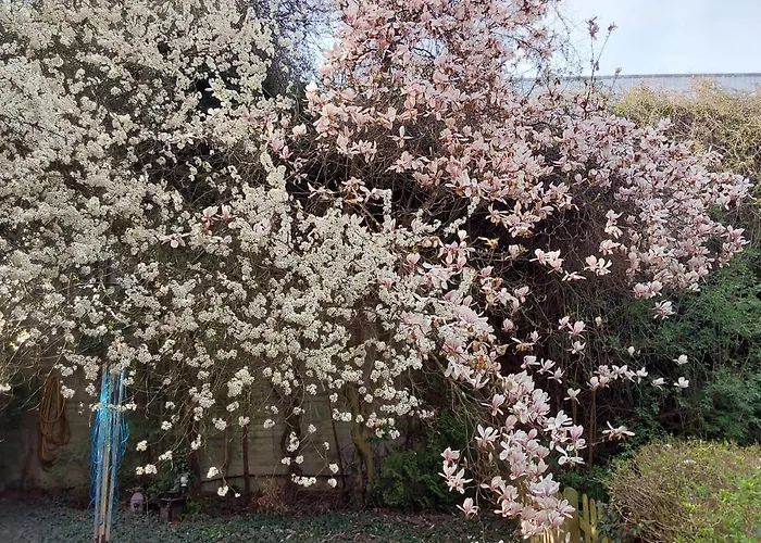 Eg-zimmer Mit Bad Und Terrasse * Kassel