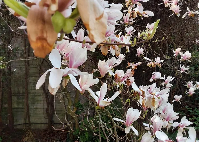 Lägenhet Eg-zimmer Mit Bad Und Terrasse